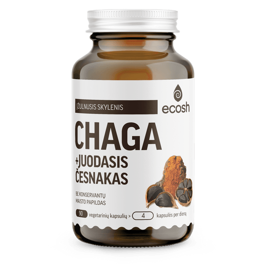 ECOSH Chaga with Black Garlic, 90 capsules