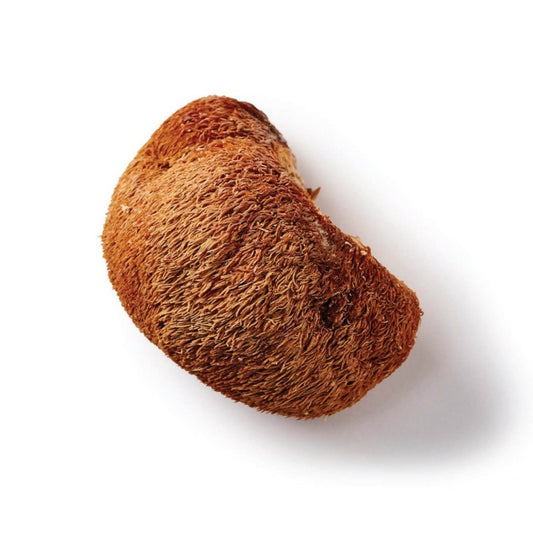 Maisto papildas Organic Lion‘s Mane Focus