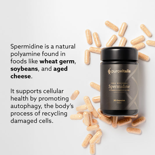 Purovitalis Cell Renewal Spermidine supplement bottle with gold text and scattered beige capsules