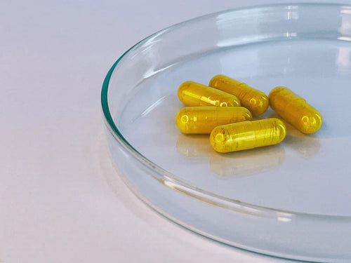 Close-up of translucent yellow Berberine capsules on glass petri dish