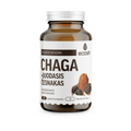 ECOSH Chaga with Black Garlic 90 vegetarian capsules for immunity support