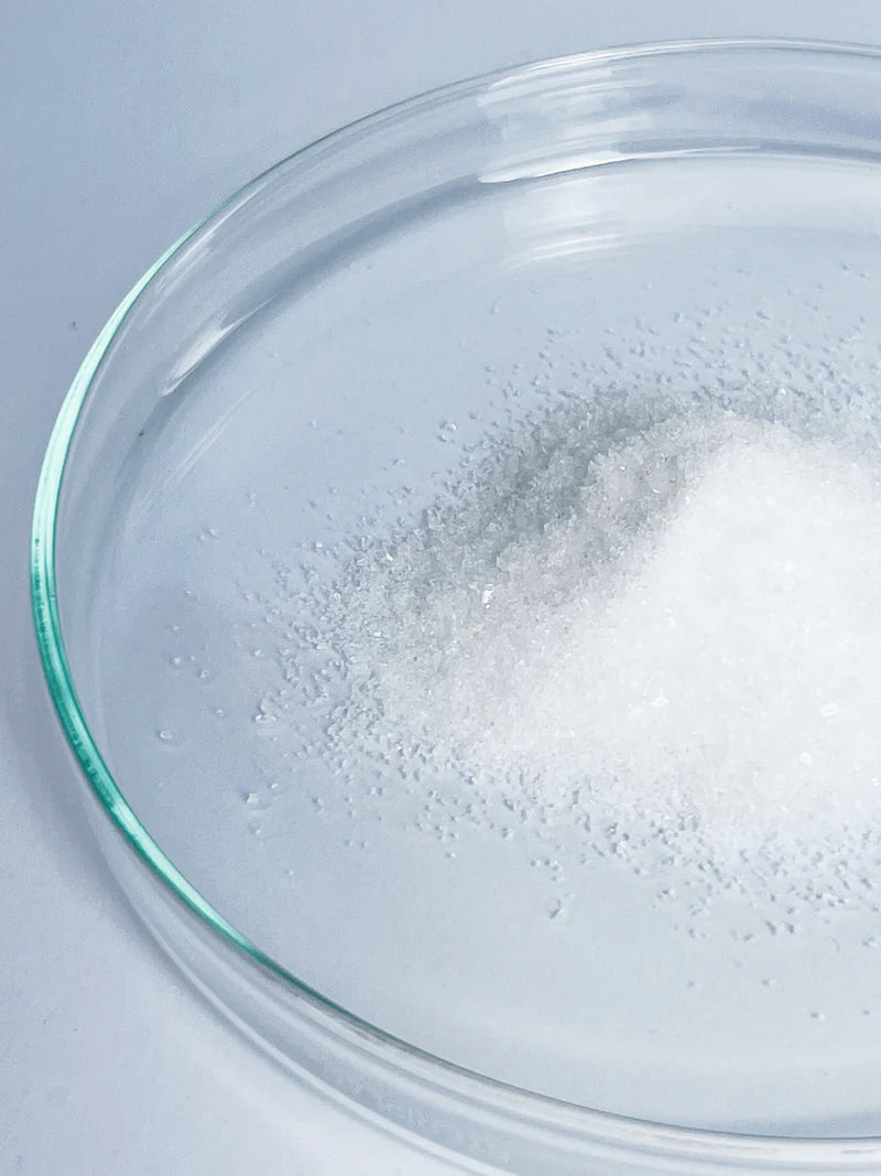 White GlyNAC powder granules in petri dish for brain and muscle support