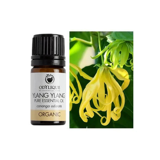 Ylang-ylang eterinis aliejus