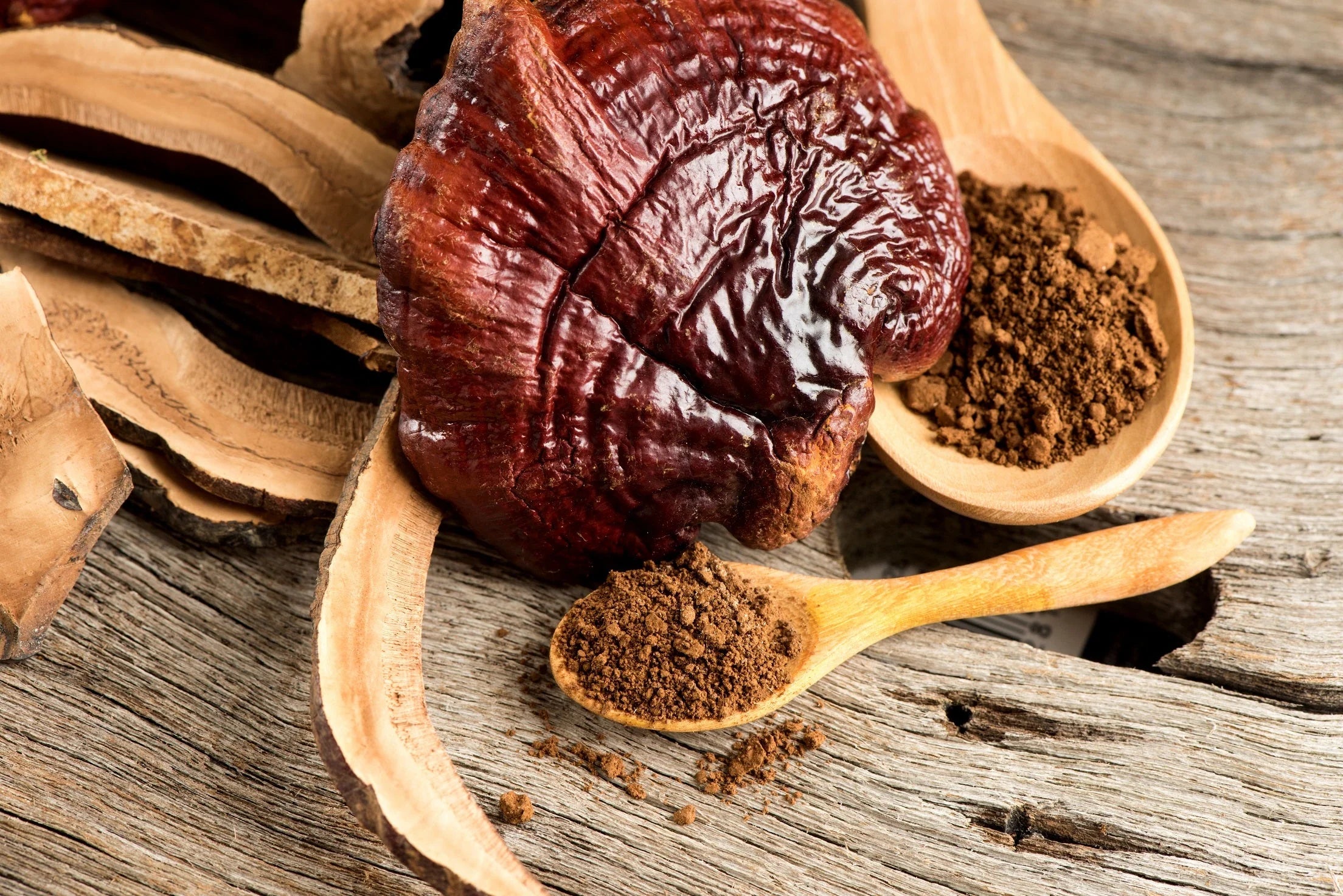 Ekologiškos Reishi kapsulės (Maisto papildas)