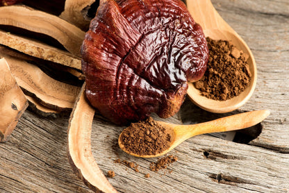 Ekologiškos Reishi kapsulės (Maisto papildas)
