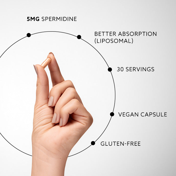 Hand holding single vegan spermidine capsule highlighting liposomal absorption and gluten-free features